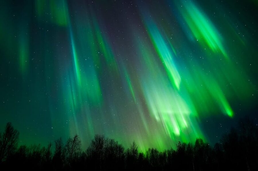 Levi: Northern Lights Tour with Guaranteed Sightings - The 2025 Ford Tourneo makes the long chase manageable