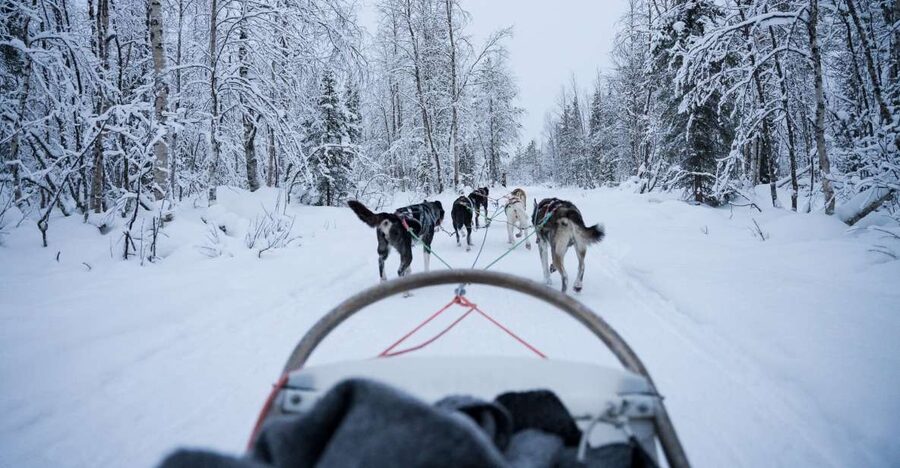 Levi Polar Lights Tours: Arctic Circle Guided Husky Tour - Meeting Polar Lights Tours at Hissitie 11