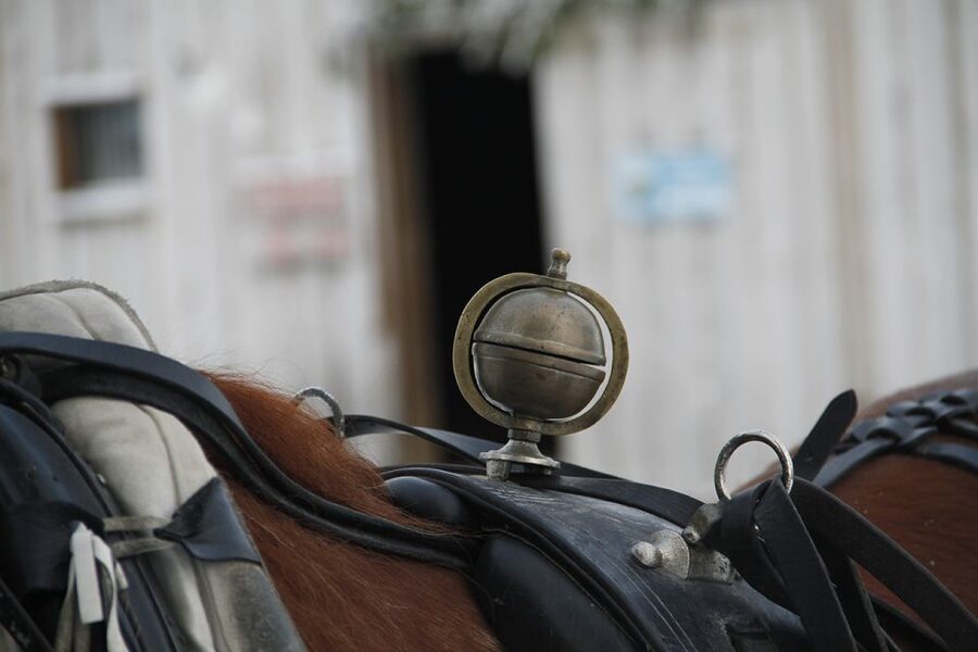 Levi, Polar Lights Tours: One Horse Open Sleigh Ride - What this one-hour sleigh ride feels like