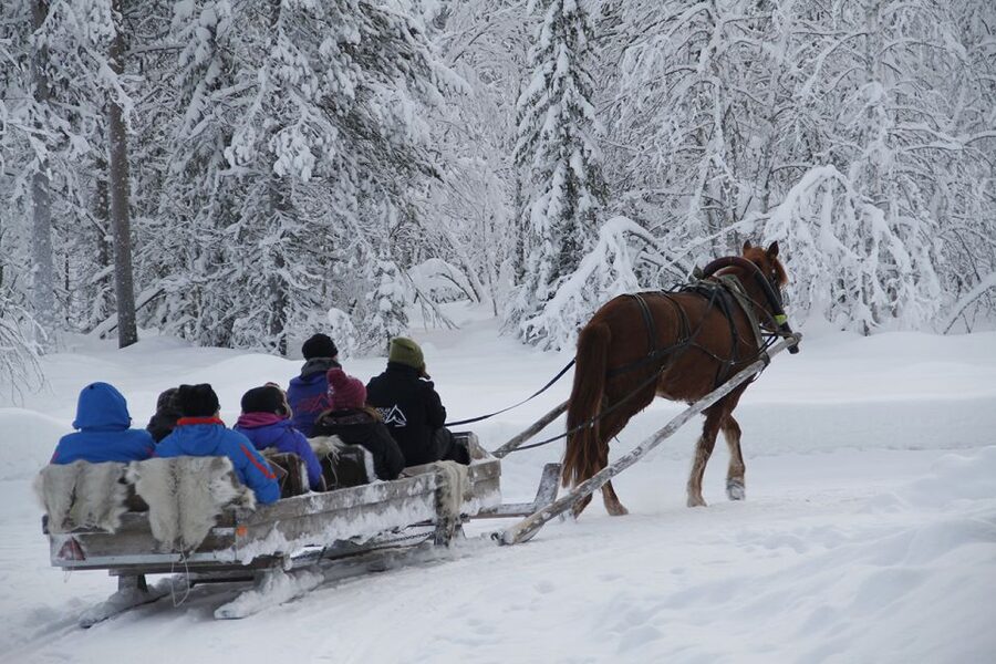 Levi, Polar Lights Tours: One Horse Open Sleigh Ride - The five-minute safety briefing