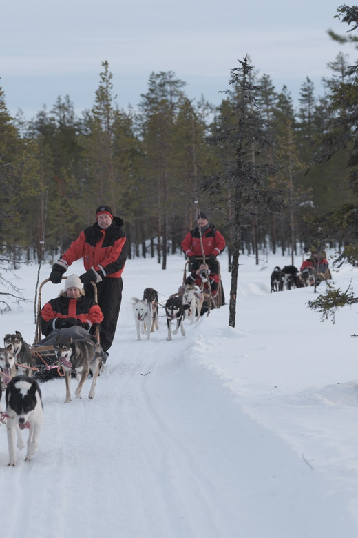 Levi Polar Lights Tours: Path of the Gnome Husky Safari 15km - Key points to know before you book