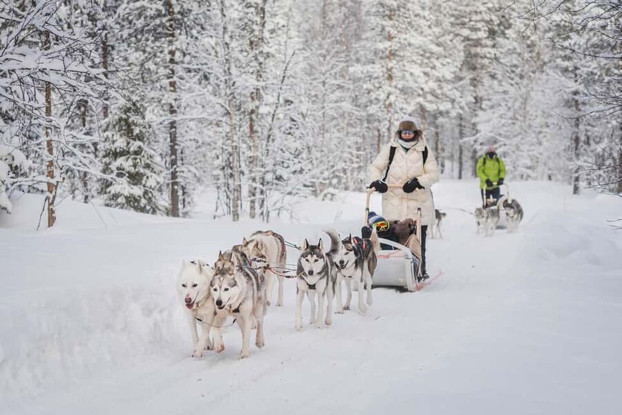 Levi Polar Lights Tours: Path of the Gnome Husky Safari 15km - The 15-minute ride to the family farm