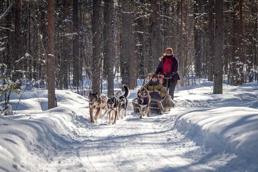 Levi Polar Lights Tours: Reindeer and Husky Taster - Two Arctic rides in one compact outing