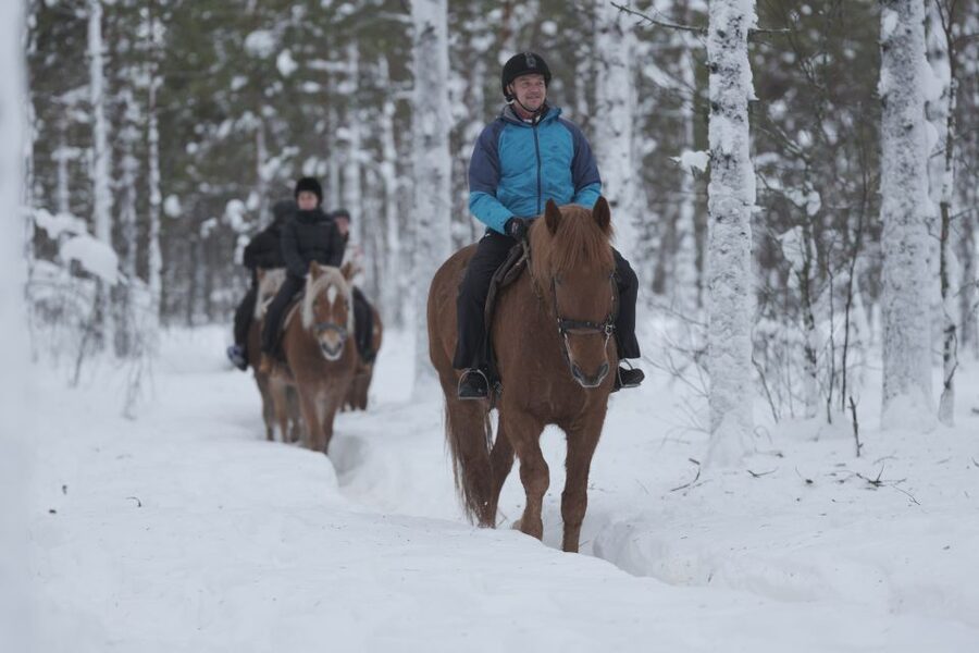 Levi: Snowy Forest Ride and Polar Lights Tours - A quiet way to see Levi in winter