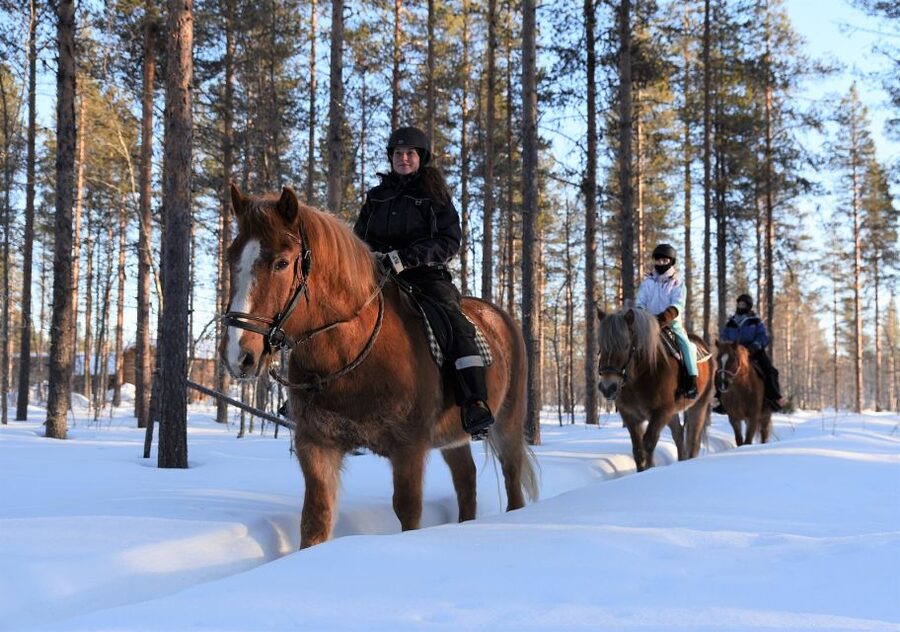 Levi: Snowy Forest Ride and Polar Lights Tours - Picking the right start time