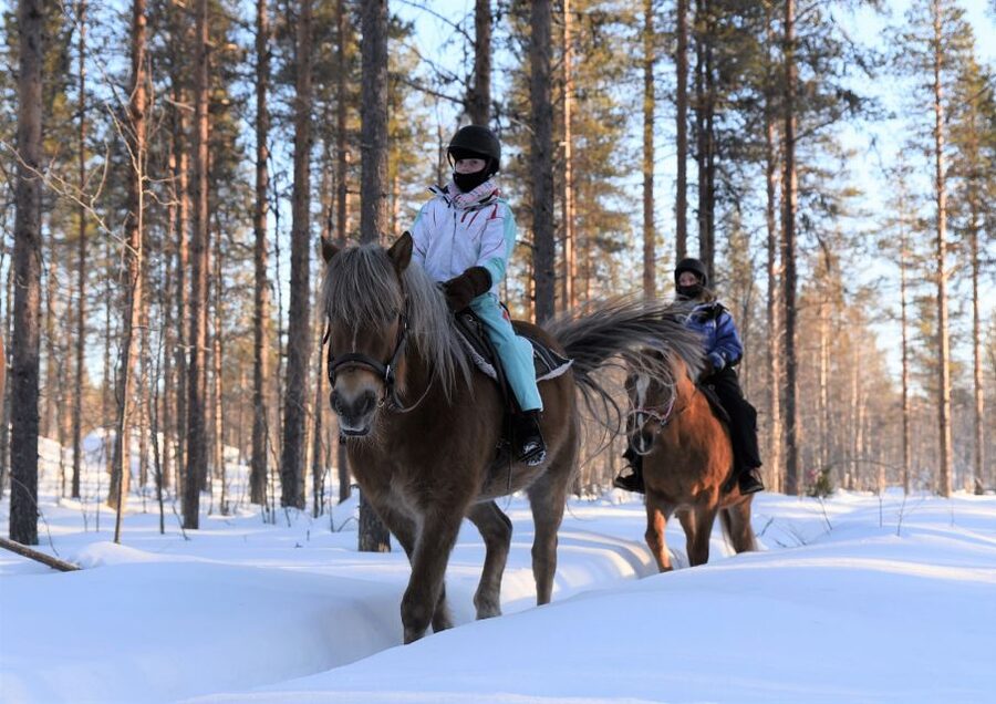 Levi: Snowy Forest Ride and Polar Lights Tours - Safety briefing with clear, simple instruction