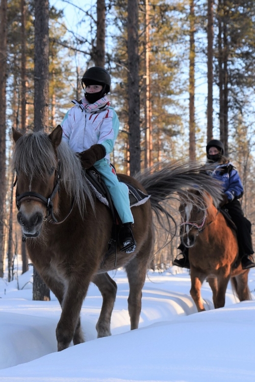 Levi: Snowy Forest Ride and Polar Lights Tours - Riding for about 80 minutes through the snowy woods