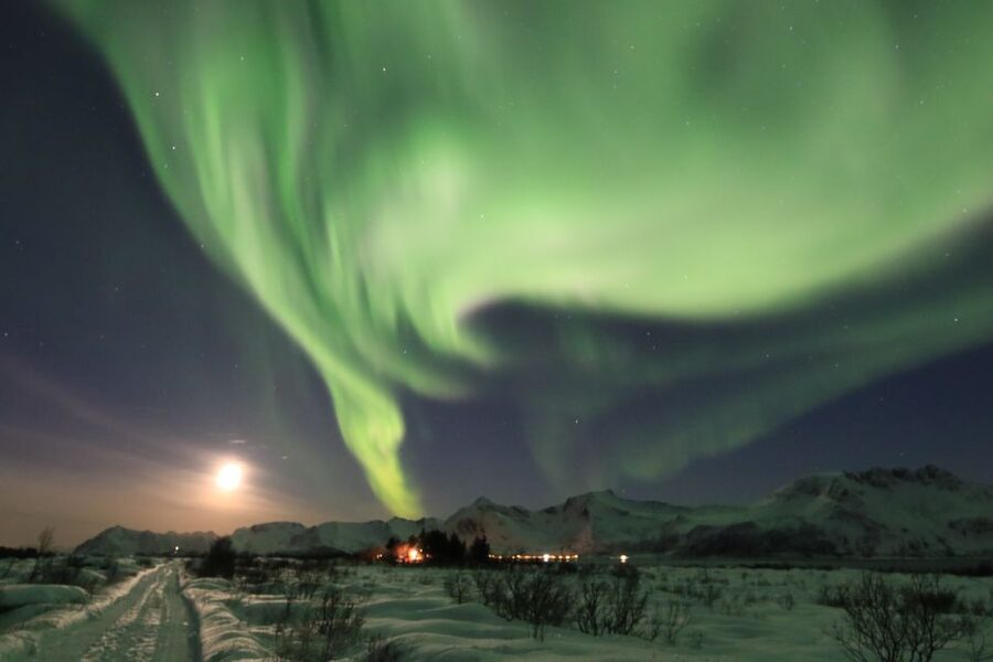 Lofoten: Northern Lights Tour with Photographer - What the guide adds beyond the photos