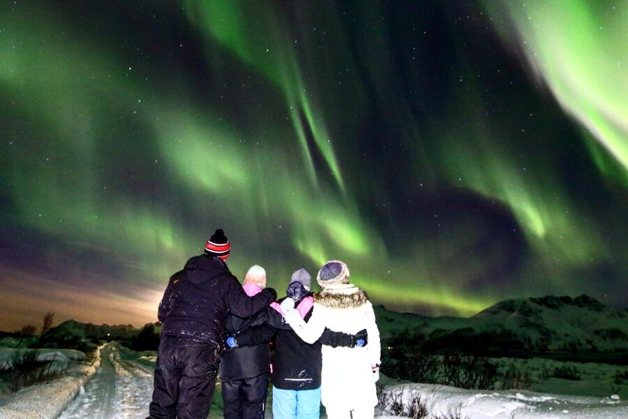 Lofoten: Northern Lights Tour with Photographer - Practical booking advice for the 8:15 PM departure