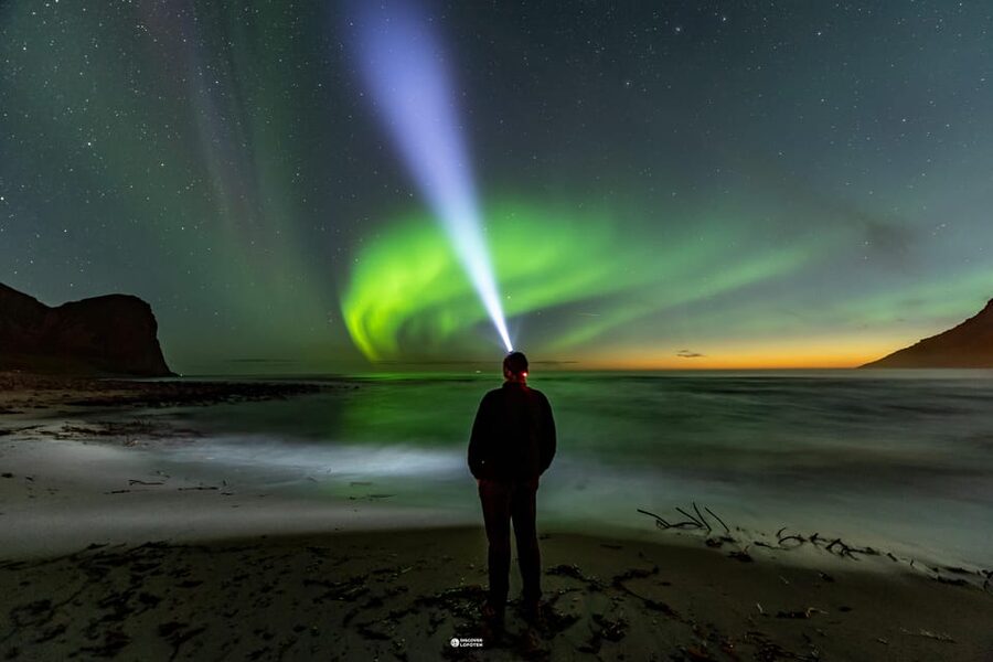 Lofoten: The Aurora Jæger – Northern Lights Hunt with Local - The value of $161 per person