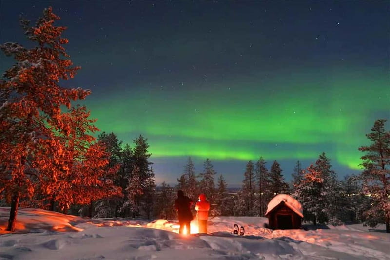 Luleå: Northern Lights Snowshoeing Tour - Key points at a glance