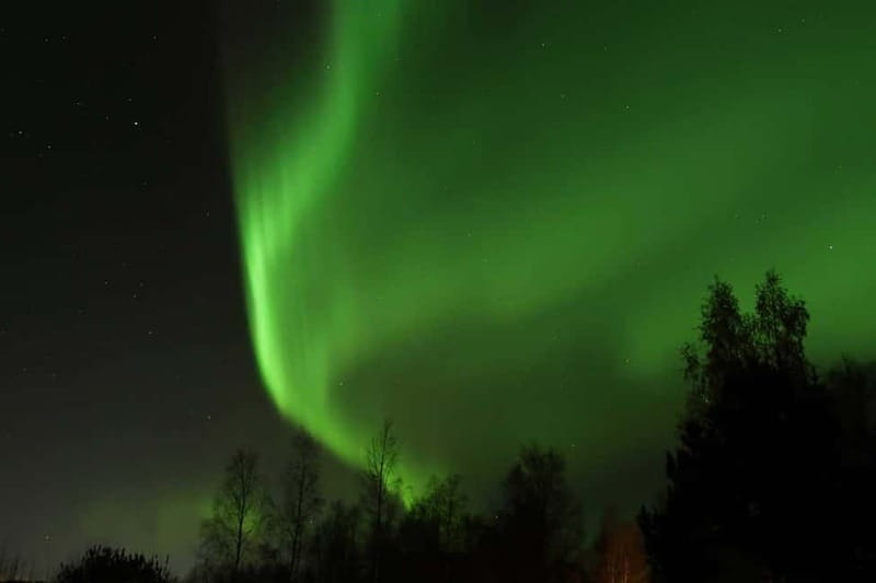 Luleå: Northern Lights Snowshoeing Tour - A three-hour night walk in Norrbotten