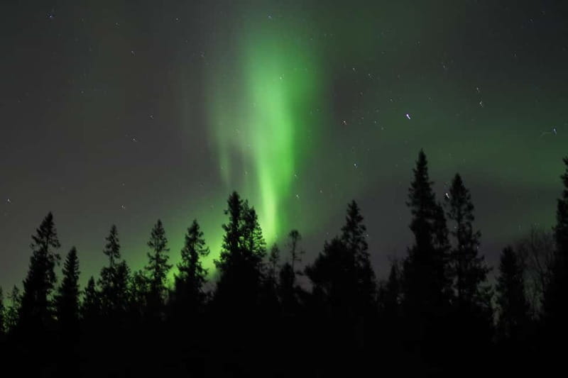 Luleå: Northern Lights Snowshoeing Tour - Snowshoes, headlamps, and a manageable pace