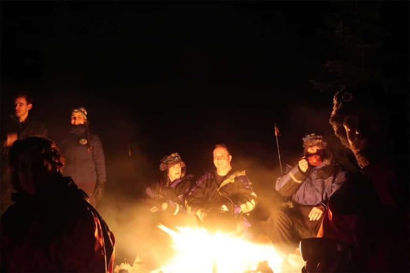 Luleå: Northern Lights Snowshoeing Tour - Should you book the Luleå snowshoeing tour?