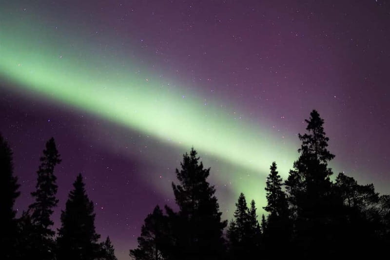 Luleå: Northern Lights Snowshoeing Tour - Leaving the city lights behind