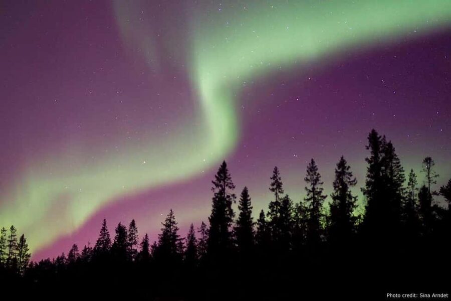 Luleå: Northern Lights Tour by Car with Swedish Treats - Key points to know before booking