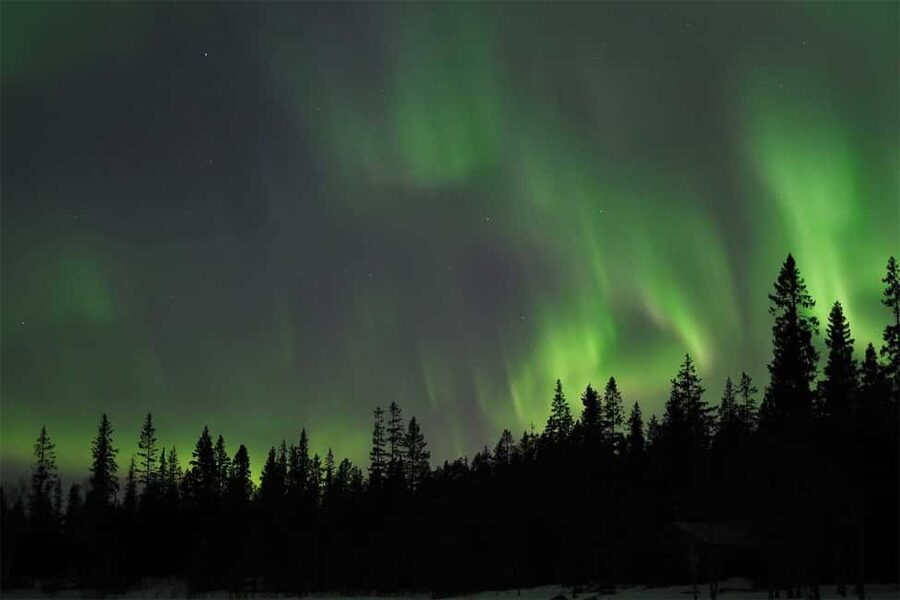 Luleå: Northern Lights Tour by Car with Swedish Treats - What happens at the viewing stops
