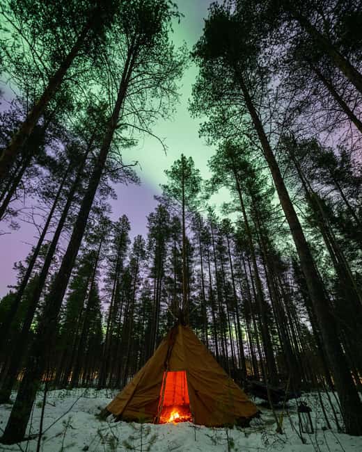 Luleå: Sami Culture, Reindeer, and Northern Lights Tour - Meeting Reindeer in the Luleå Darkness