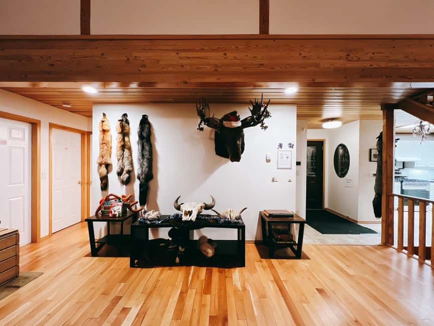 Madeline Lake: Aurora Lodge and Aurora Chasing Tour - Who will enjoy this tour most