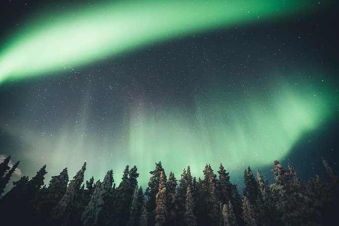 Magical Northern Lights Photography Tour Kiruna - Warm drinks and the human side of the tour
