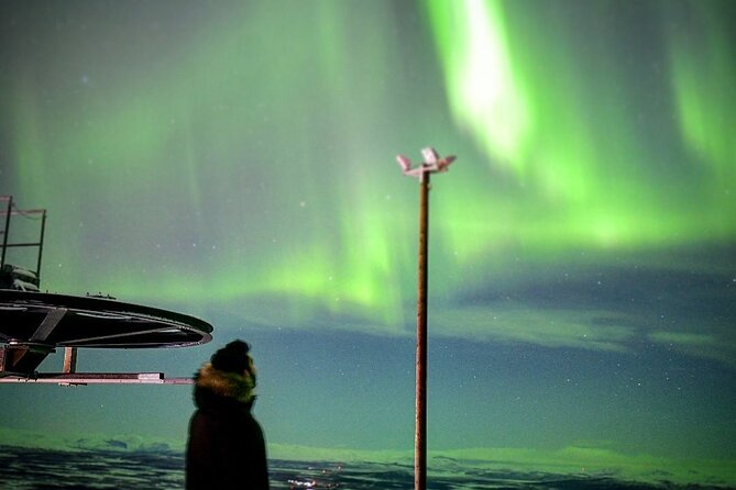 Magical Northern Lights Photography Tour Kiruna - What the evening is like from pickup to return