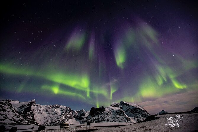 Marianne’s Heaven On Earth Aurora Chaser Tours - Is the $291.52 price good value?