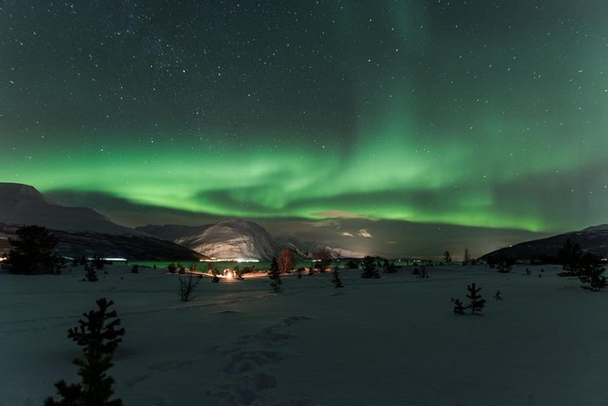 Minibus Northern Lights Chase with Photography from Tromsø - The value of $242.92 per person