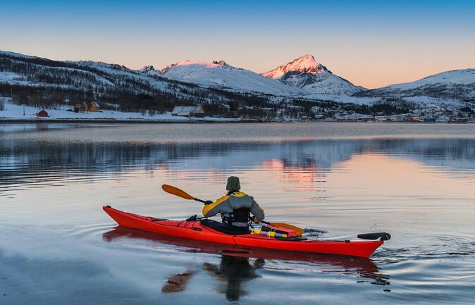 Minivan Northern Lights excursion (8 guests per minivan) - Key points to know before booking