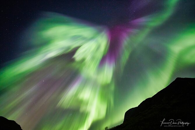 Minivan Northern Lights excursion (8 guests per minivan) - Why a minivan is the right size for an aurora chase