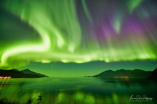 Minivan Northern Lights excursion (8 guests per minivan) - Hansnes and Sommarøy: coastal chances and changing skies