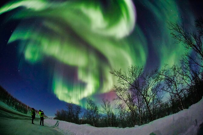 Minivan Northern Lights excursion (8 guests per minivan) - Skibotn: the inland option