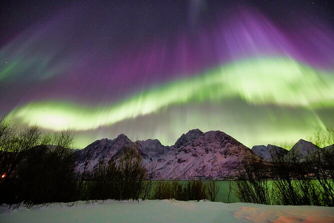 Minivan Northern Lights excursion (8 guests per minivan) - Photography is a real part of the evening