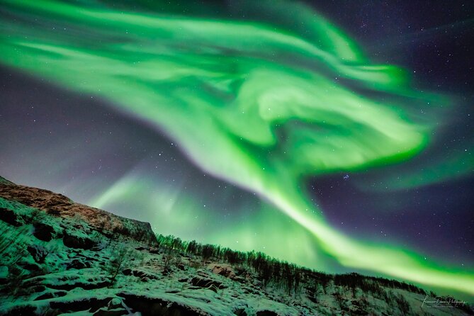 Minivan Northern Lights excursion (8 guests per minivan) - Warm clothing, snacks, and the cold-weather routine