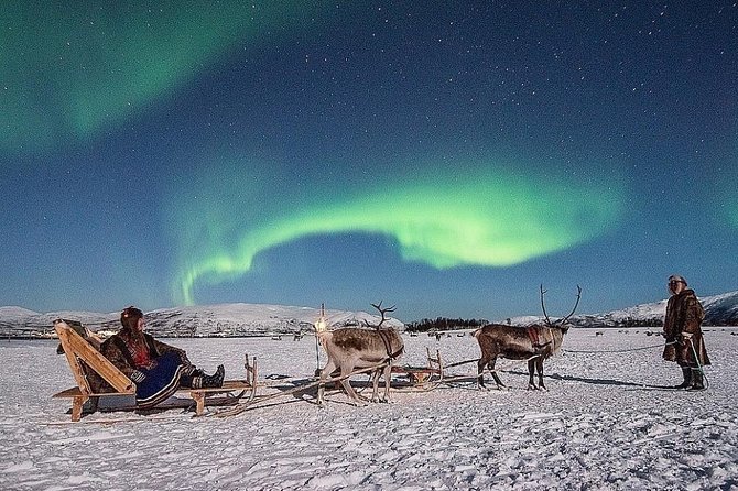 Night Reindeer Sledding with Camp Dinner and Chance of Northern Lights - Key points at a glance
