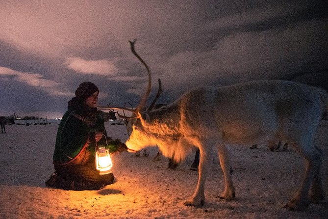 Night Reindeer Sledding with Camp Dinner and Chance of Northern Lights - Dinner in the gamme, with reindeer stew on the menu