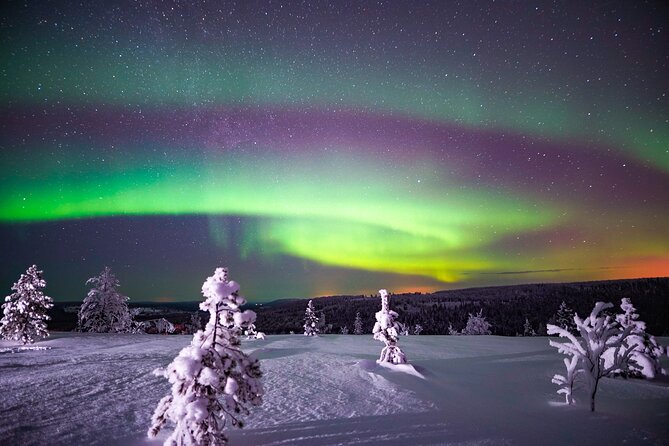 Night Snowshoeing Adventure under the Northern Lights - Into the Lapland forest after dark
