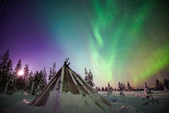 Night Snowshoeing Adventure under the Northern Lights - Walking through forests, frozen waterways, and open viewpoints