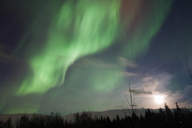 Northern Lights 4x4 Tour from Akureyri - Is $190.87 a fair price?