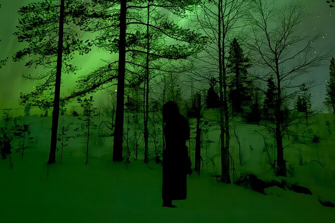 Northern Lights Adventure in the Wild with Campfire Treats - Arriving at the private frozen lake