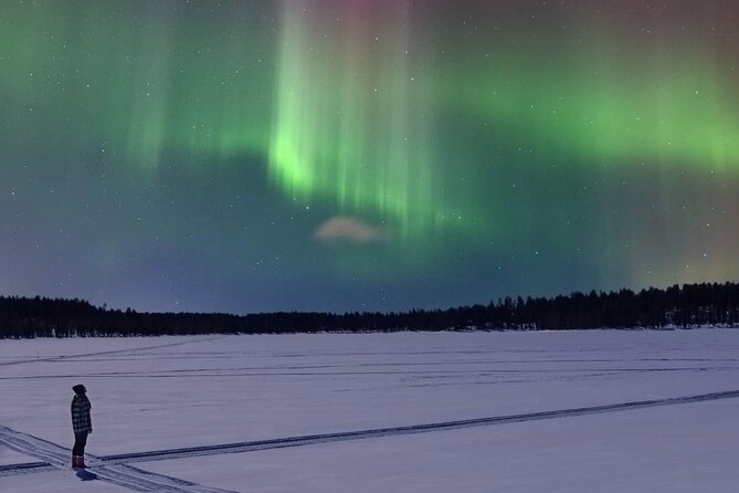 Northern Lights Adventure in the Wild with Campfire Treats - Practical details before you reserve