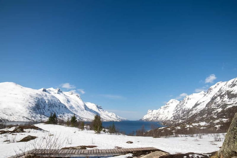Northern Lights Adventure in Tromsø with Free Photos - Campfire food and the wait for the sky