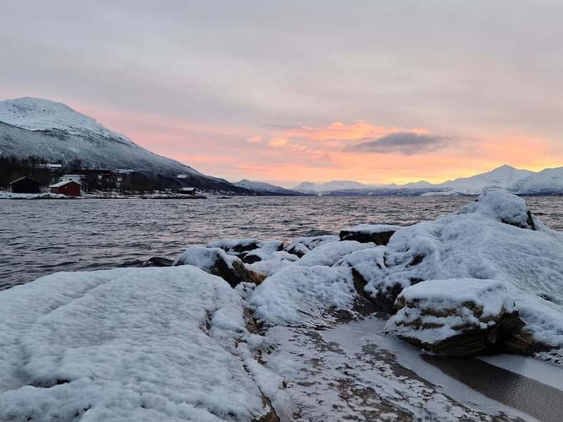 Northern Lights Adventure in Tromsø with Free Photos - Staying warm in real winter conditions