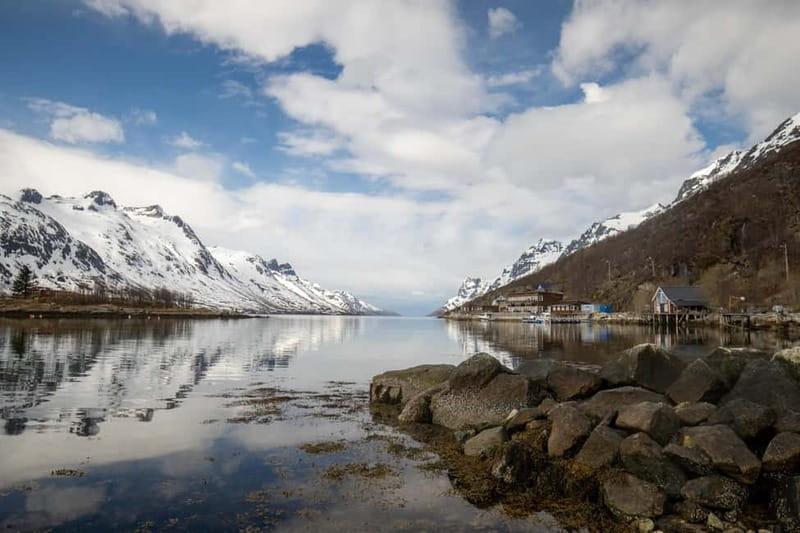 Northern Lights Adventure in Tromsø with Free Photos - The long Arctic drive