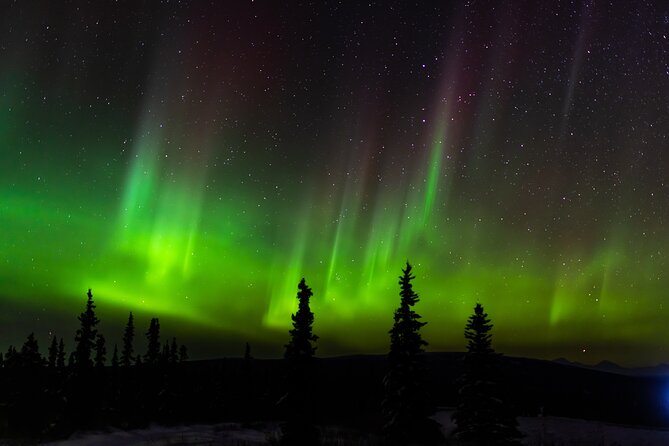 Northern Lights Adventure of a Liftetime from Anchorage - Is $320 a fair price?
