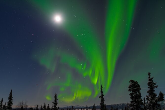 Northern Lights Adventure of a Liftetime from Anchorage - Comfort, access, and small-group limits