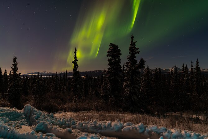Northern Lights Adventure of a Liftetime from Anchorage - What waiting in the cold is really like