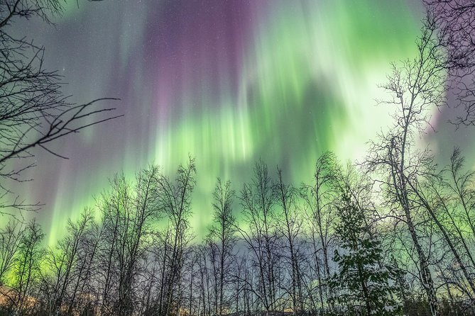 Northern Lights Adventure with Greenlander, 8 people max - Chasing the aurora instead of waiting at one viewpoint
