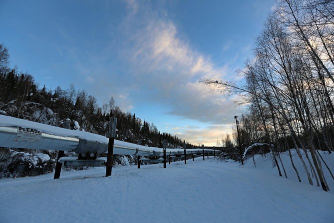 Northern Lights and Arctic Circle Trip from Fairbanks - Crossing the Arctic Circle Around 10 p.m.