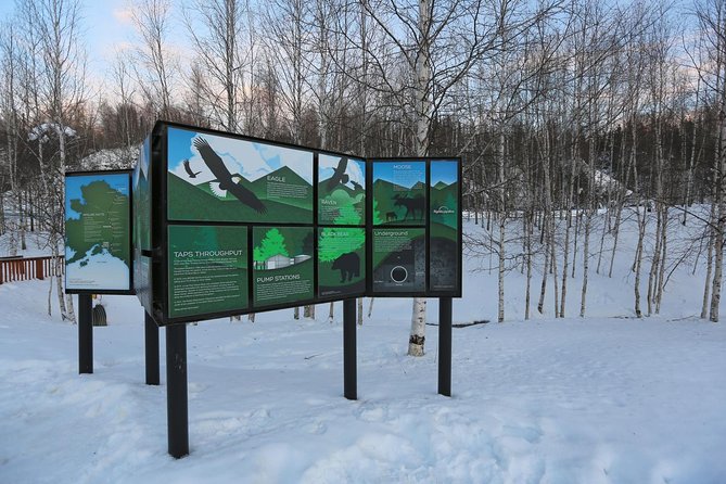 Northern Lights and Arctic Circle Trip from Fairbanks - Northern Lights Hunting Is the Payoff, Not a Promise