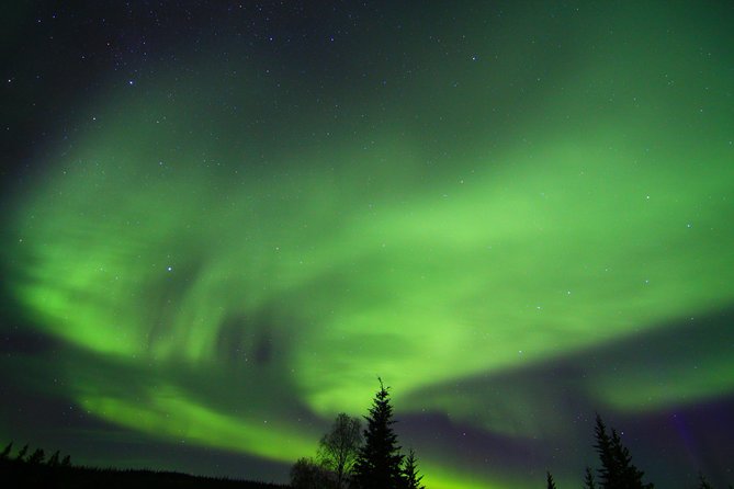Northern Lights and Arctic Circle Trip from Fairbanks - Who Will Enjoy This Fairbanks Trip Most